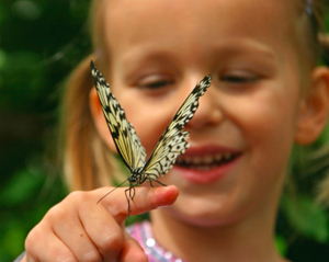 Cild-Butterfly.jpg